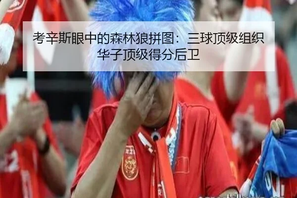 考辛斯眼中的森林狼拼图：三球顶级组织 华子顶级得分后卫 - HuoHu